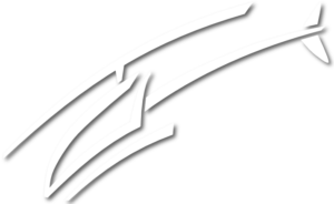 Heliteam Lungau Logo Weiß